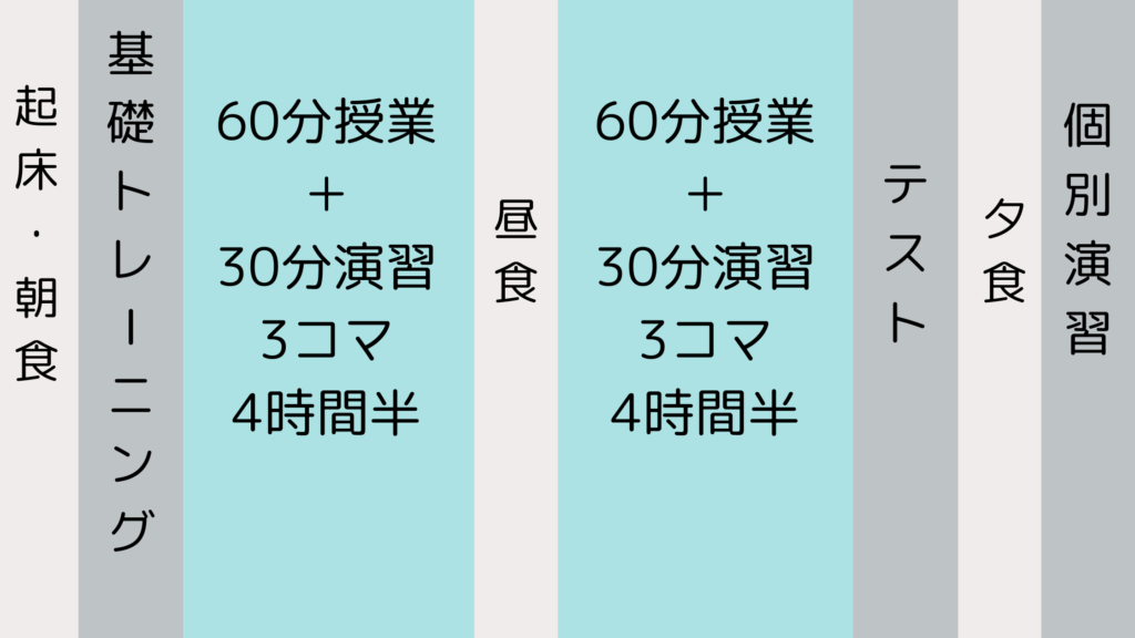 トライ式合宿の一日の流れ